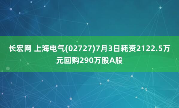 长宏网 上海电气(02727)7月3日耗资2122.5万元回购290万股A股