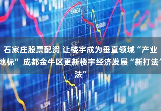 石家庄股票配资 让楼宇成为垂直领域“产业地标” 成都金牛区更新楼宇经济发展“新打法”